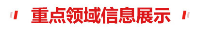 重點(diǎn)領(lǐng)域信息展示