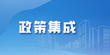 政策集成